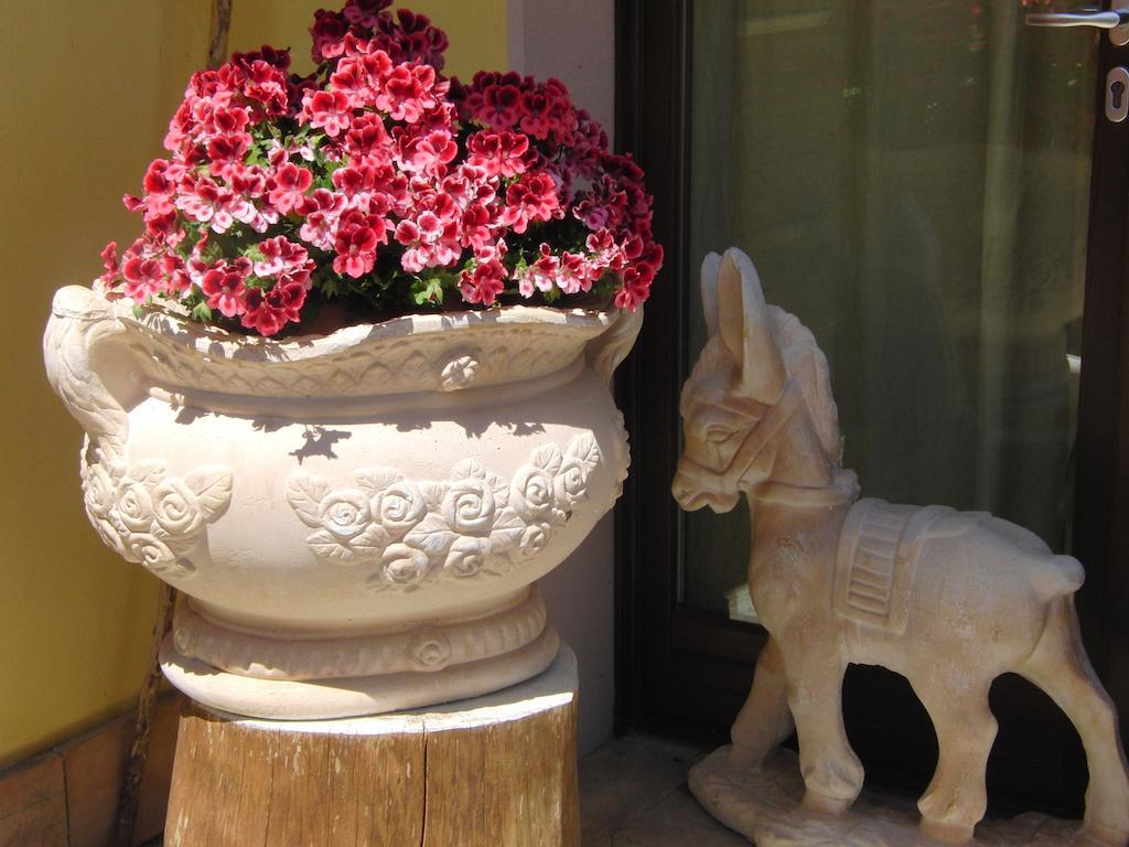Locanda Degli Etruschi 몬탈토디카스트로 객실 사진